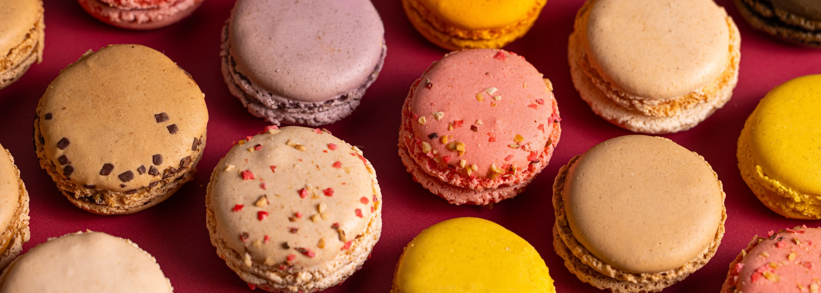 L'excellence du chocolat artisanal